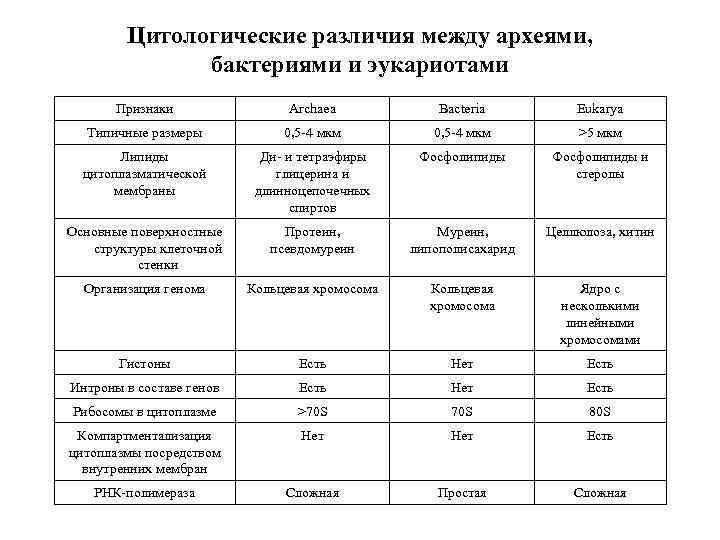 Таблица сравнение эукариот. Сравнительная характеристика Архей, бактерий и эукариот. Различия бактерий Архей и эукариот. Сравнение Архей бактерий и эукариот. Различия бактерий и Архей.