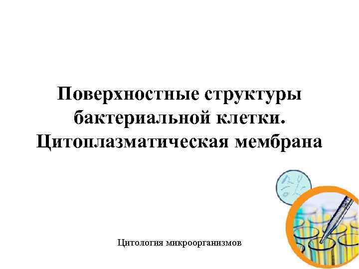 Поверхностные структуры бактериальной клетки. Цитоплазматическая мембрана Цитология микроорганизмов 