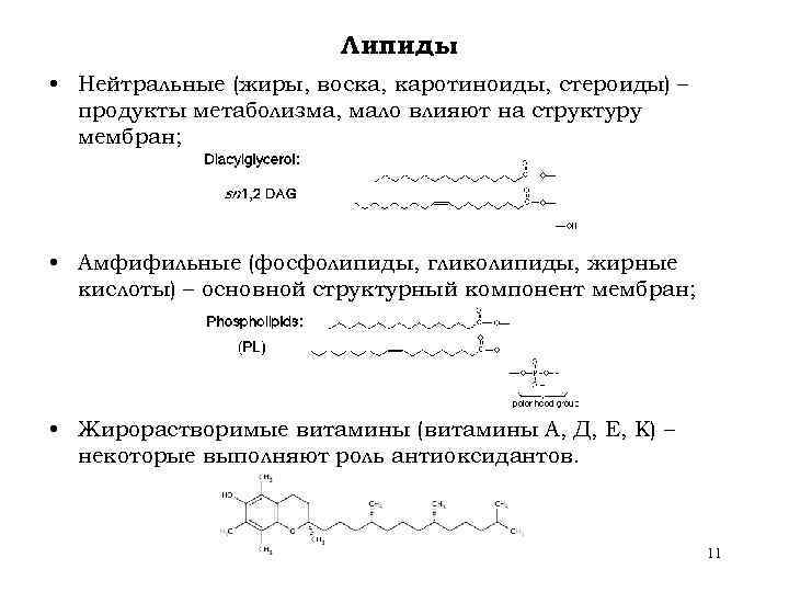 Липиды • Нейтральные (жиры, воска, каротиноиды, стероиды) – продукты метаболизма, мало влияют на структуру