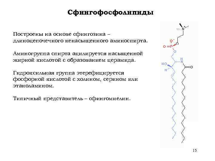 Сфингофосфолипиды Построены на основе сфингозина – длиноцепочечного ненасыщенного аминоспирта. Аминогруппа спирта ацилируется насыщенной жирной