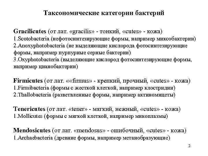 Таксономические категории бактерий Gracilicutes (от лат. «gracilis» - тонкий, «cutes» - кожа) 1. Scotobacteria