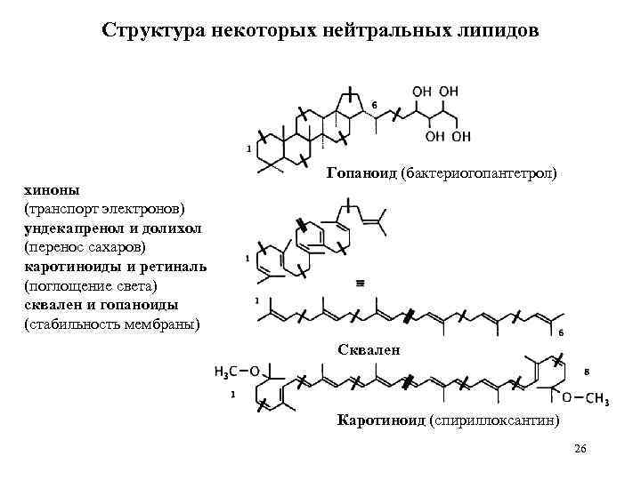 Структура некоторых нейтральных липидов хиноны (транспорт электронов) ундекапренол и долихол (перенос сахаров) каротиноиды и