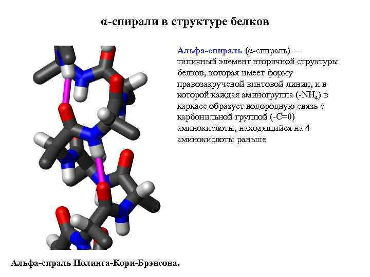 α-спирали в структуре белков Альфа-спираль (α-спираль) — типичный элемент вторичной структуры белков, которая имеет
