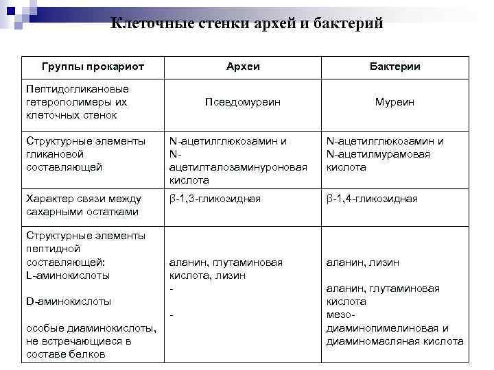 Клеточные стенки архей и бактерий Группы прокариот Археи Псевдомуреин Пептидогликановые гетерополимеры их клеточных стенок