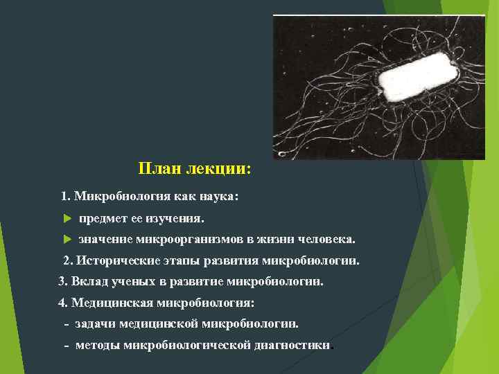 План лекции: 1. Микробиология как наука: предмет ее изучения. значение микроорганизмов в жизни человека.