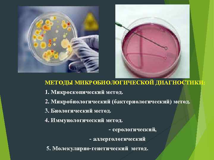 МЕТОДЫ МИКРОБИОЛОГИЧЕСКОЙ ДИАГНОСТИКИ: 1. Микроскопический метод. 2. Микробиологический (бактериологический) метод. 3. Биологический метод. 4.