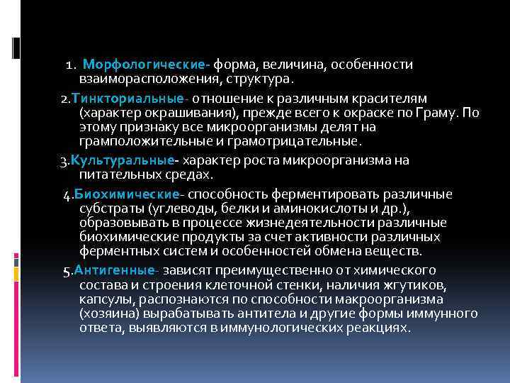  1. Морфологические- форма, величина, особенности взаиморасположения, структура. 2. Тинкториальные- отношение к различным красителям