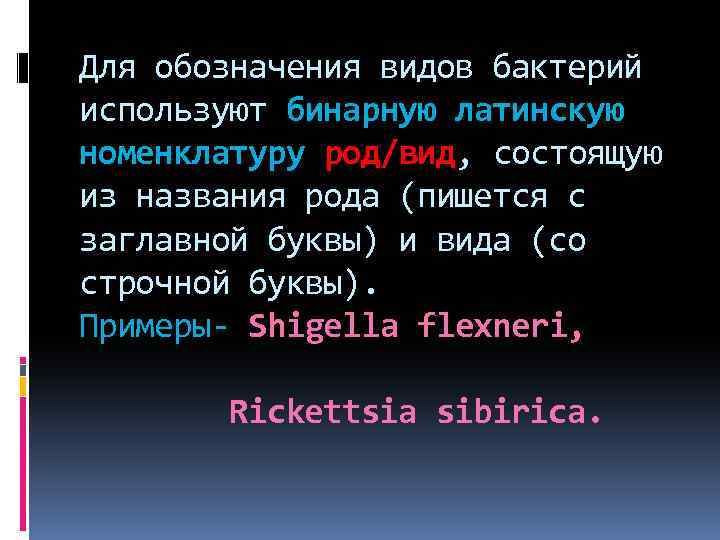 Для обозначения видов бактерий используют бинарную латинскую номенклатуру род/вид, состоящую из названия рода (пишется