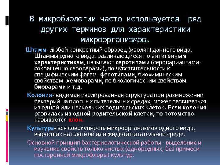 В микробиологии часто используется ряд других терминов для характеристики микроорганизмов. Штамм- любой конкретный образец