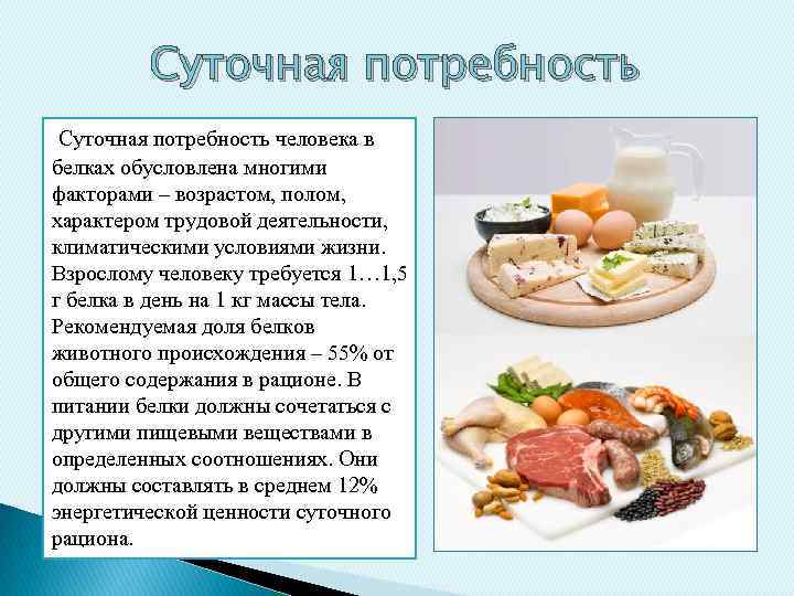 Суточная потребность человека в белках обусловлена многими факторами – возрастом, полом, характером трудовой деятельности,