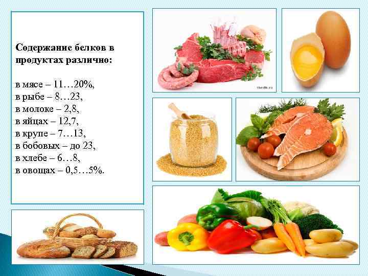 Содержание белков в продуктах различно: в мясе – 11… 20%, в рыбе – 8…