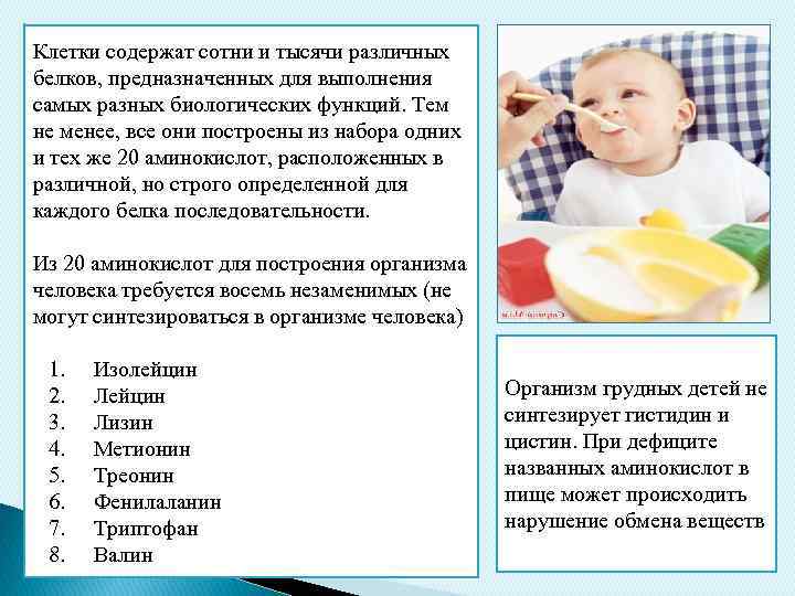 Клетки содержат сотни и тысячи различных белков, предназначенных для выполнения самых разных биологических функций.