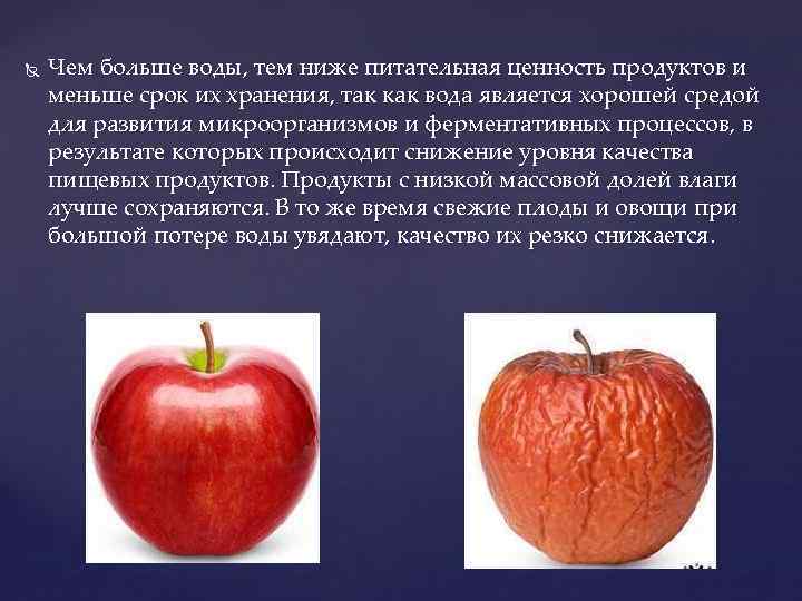  Чем больше воды, тем ниже питательная ценность продуктов и меньше срок их хранения,