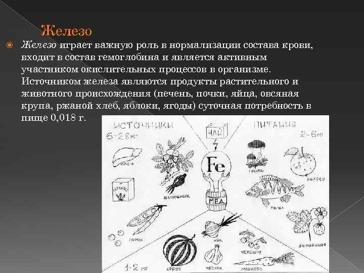 Железо играет важную роль в нормализации состава крови, входит в состав гемоглобина и является