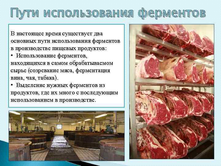Пути использования ферментов В настоящее время существует два основных пути использования ферментов в производстве