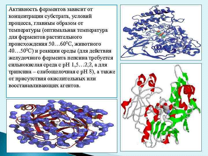 Активность амилазы