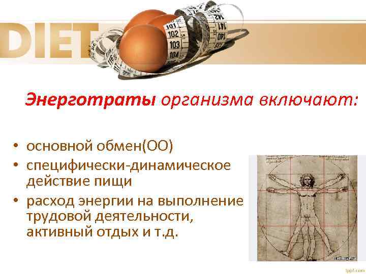 Энерготраты организма включают: • основной обмен(ОО) • специфически-динамическое действие пищи • расход энергии на