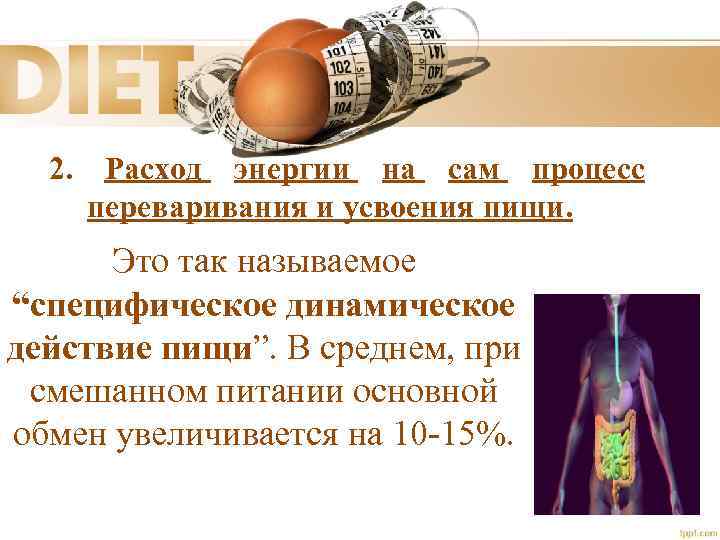 2. Расход энергии на сам процесс переваривания и усвоения пищи. Это так называемое “специфическое