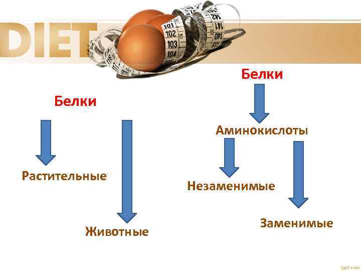Белки Аминокислоты Растительные Животные Незаменимые Заменимые 