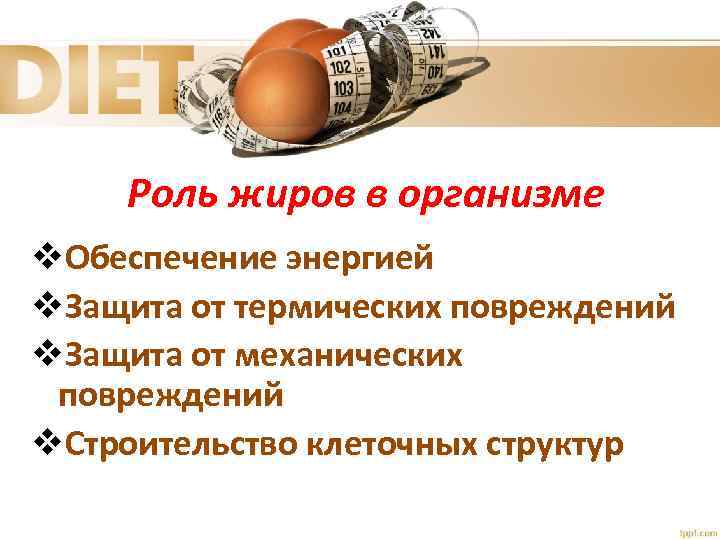 Роль жиров в организме v. Обеспечение энергией v. Защита от термических повреждений v. Защита