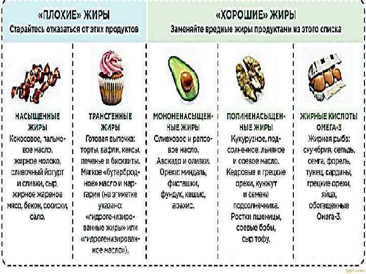 Какие продукты составляют жиры