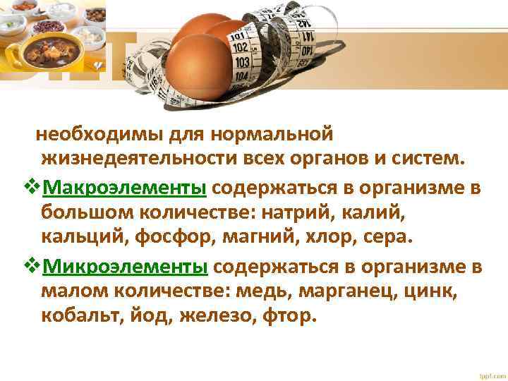  необходимы для нормальной жизнедеятельности всех органов и систем. v. Макроэлементы содержаться в организме