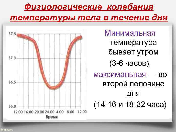 Физиологические колебания температуры тела в течение дня Минимальная температура бывает утром (3 -6 часов),