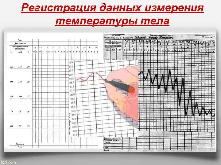 Паспорт проекта температура тела