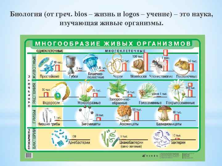 Биология (от греч. bios – жизнь и logos – учение) – это наука, изучающая