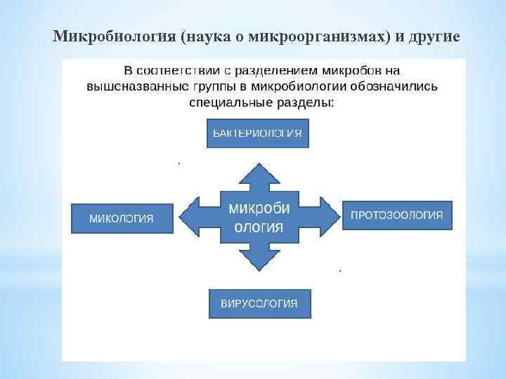 Микробиология (наука о микроорганизмах) и другие 