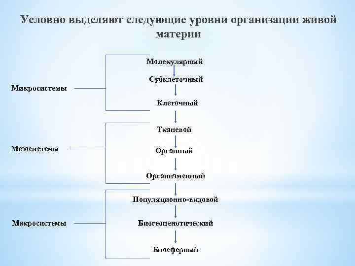 Условно выделяют следующие уровни организации живой материи Молекулярный Субклеточный Микросистемы Клеточный Тканевой Мезосистемы Органный