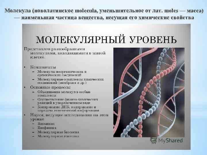 Молекула (новолатинское molecula, уменьшительное от лат. moles — масса) — наименьшая частица вещества, несущая