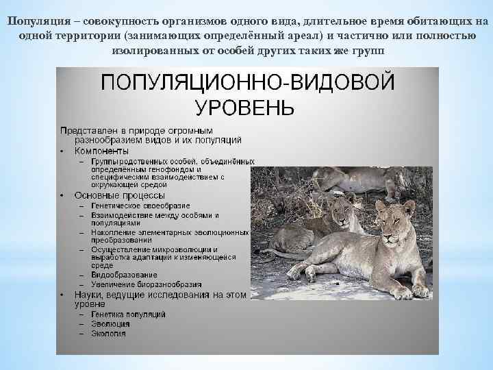 Популяция – совокупность организмов одного вида, длительное время обитающих на одной территории (занимающих определённый