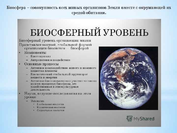 Биосфера – совокупность всех живых организмов Земли вместе с окружающей их средой обитания. 