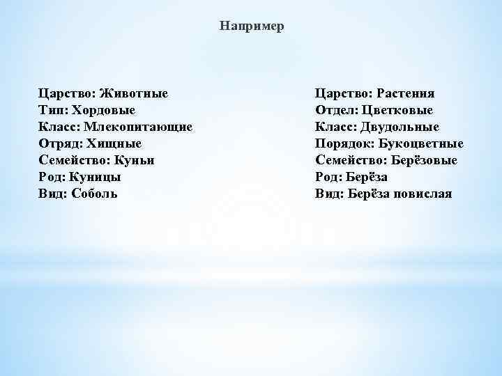 Например Царство: Животные Тип: Хордовые Класс: Млекопитающие Отряд: Хищные Семейство: Куньи Род: Куницы Вид: