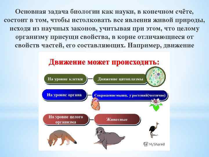 Основная задача биологии как науки, в конечном счёте, состоит в том, чтобы истолковать все