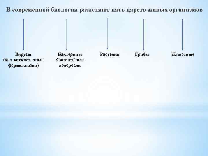 В современной биологии разделяют пять царств живых организмов Вирусы (как внеклеточные формы жизни) Бактерии