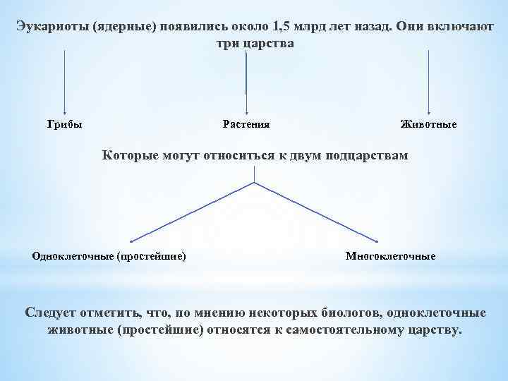 Эукариоты (ядерные) появились около 1, 5 млрд лет назад. Они включают три царства Грибы