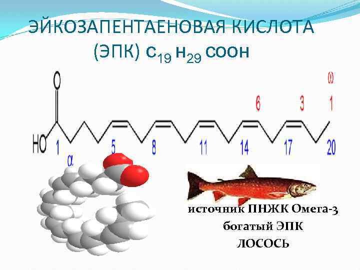 W жирные кислоты источники