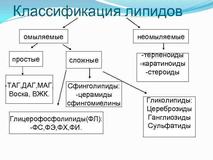 Классификация липидов омыляемые простые -ТАГ, ДАГ, МАГ, Воска, ВЖК. неомыляемые сложные Сфинголипиды: -церамиды сфингомиелины
