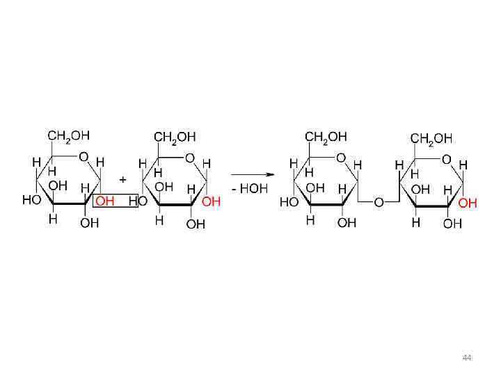 Схема образования дисахаридов