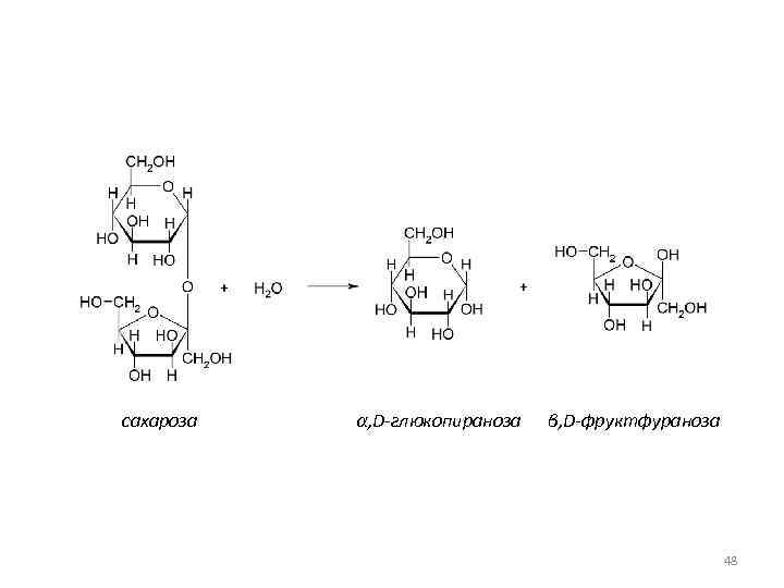 Олигосахариды сахароза презентация 10 класс
