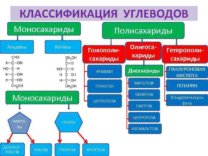 Схема 14 классификация углеводов