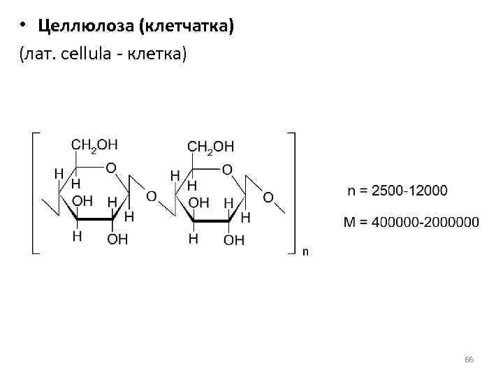  • Целлюлоза (клетчатка) (лат. cellula - клетка) 66 