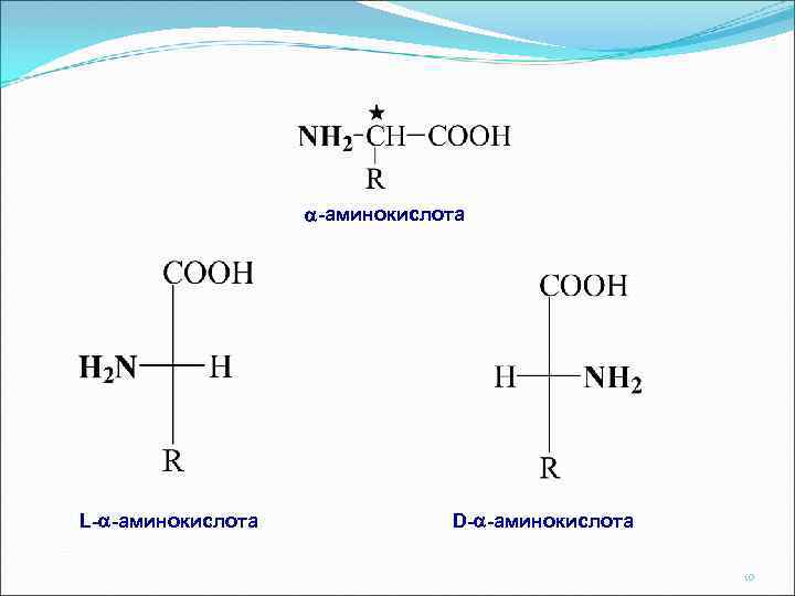  -аминокислота L- -аминокислота D- -аминокислота 10 