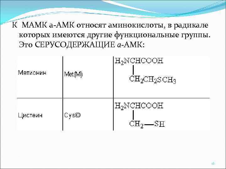 К МАМК а-АМК относят аминокислоты, в радикале которых имеются другие функциональные группы. Это СЕРУСОДЕРЖАЩИЕ