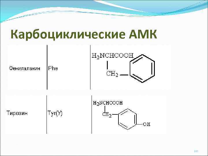 Карбоциклические АМК 20 