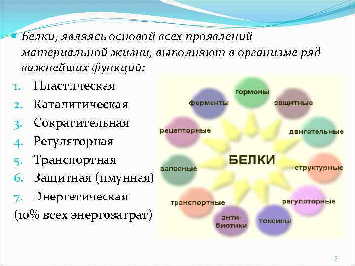  Белки, являясь основой всех проявлений материальной жизни, выполняют в организме ряд важнейших функций: