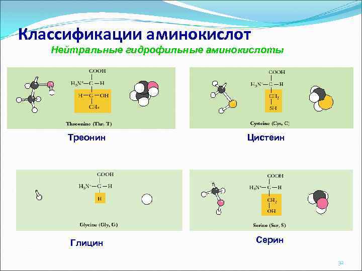 Классификации аминокислот Нейтральные гидрофильные аминокислоты Треонин Цистеин Глицин Серин 32 