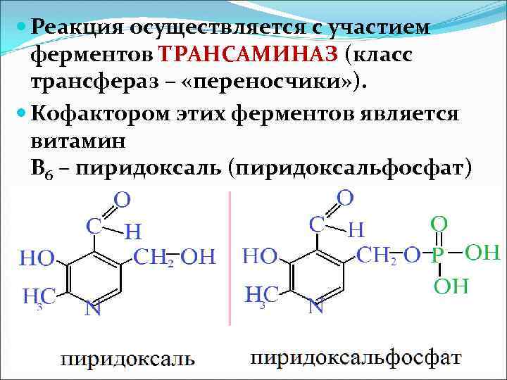  Реакция осуществляется с участием ферментов ТРАНСАМИНАЗ (класс трансфераз – «переносчики» ). Кофактором этих